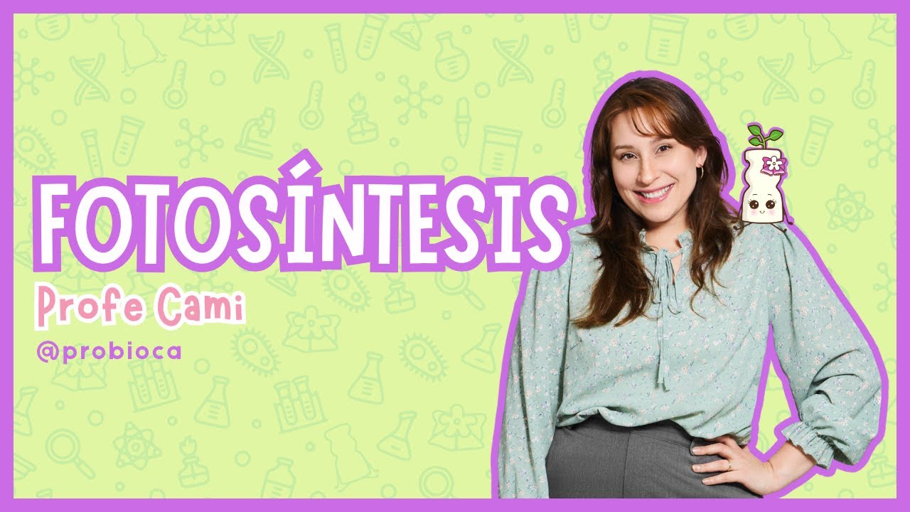 🌿 FOTOSÍNTESIS PAES: Explicada Fácil y con sus etapas!