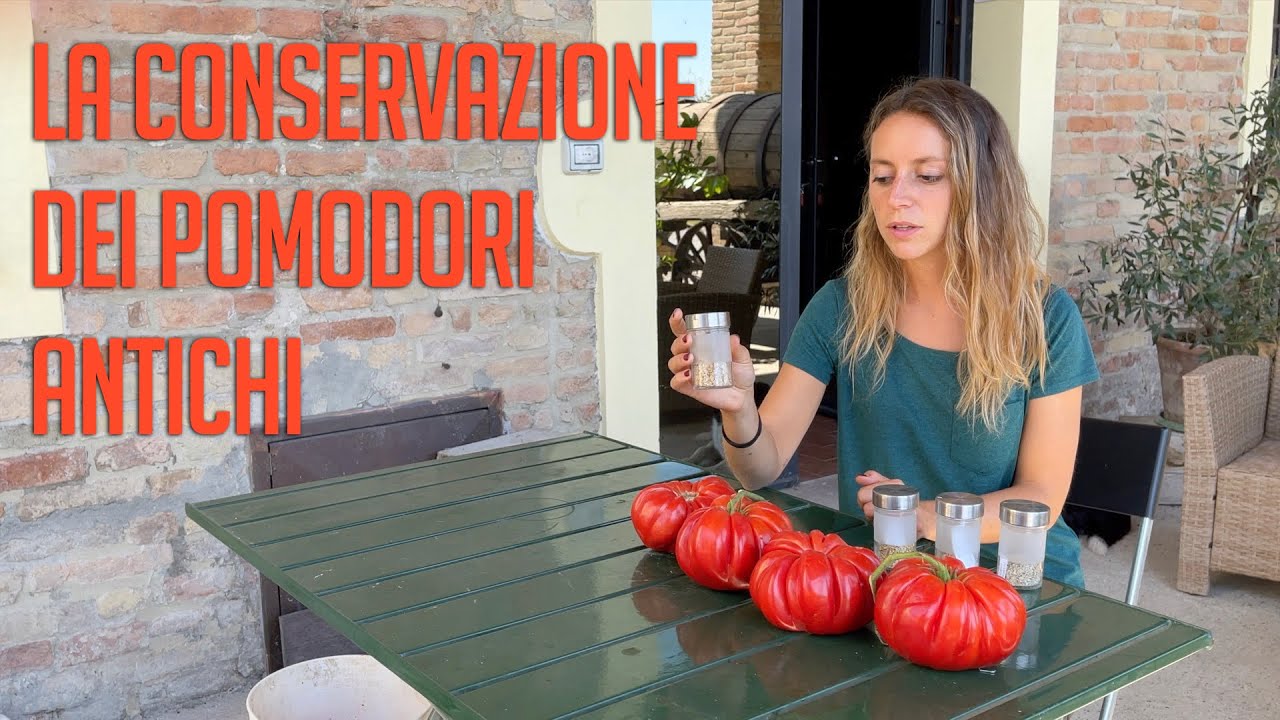Storie di biodiversità, Ep. III: la conservazione dei pomodori antichi