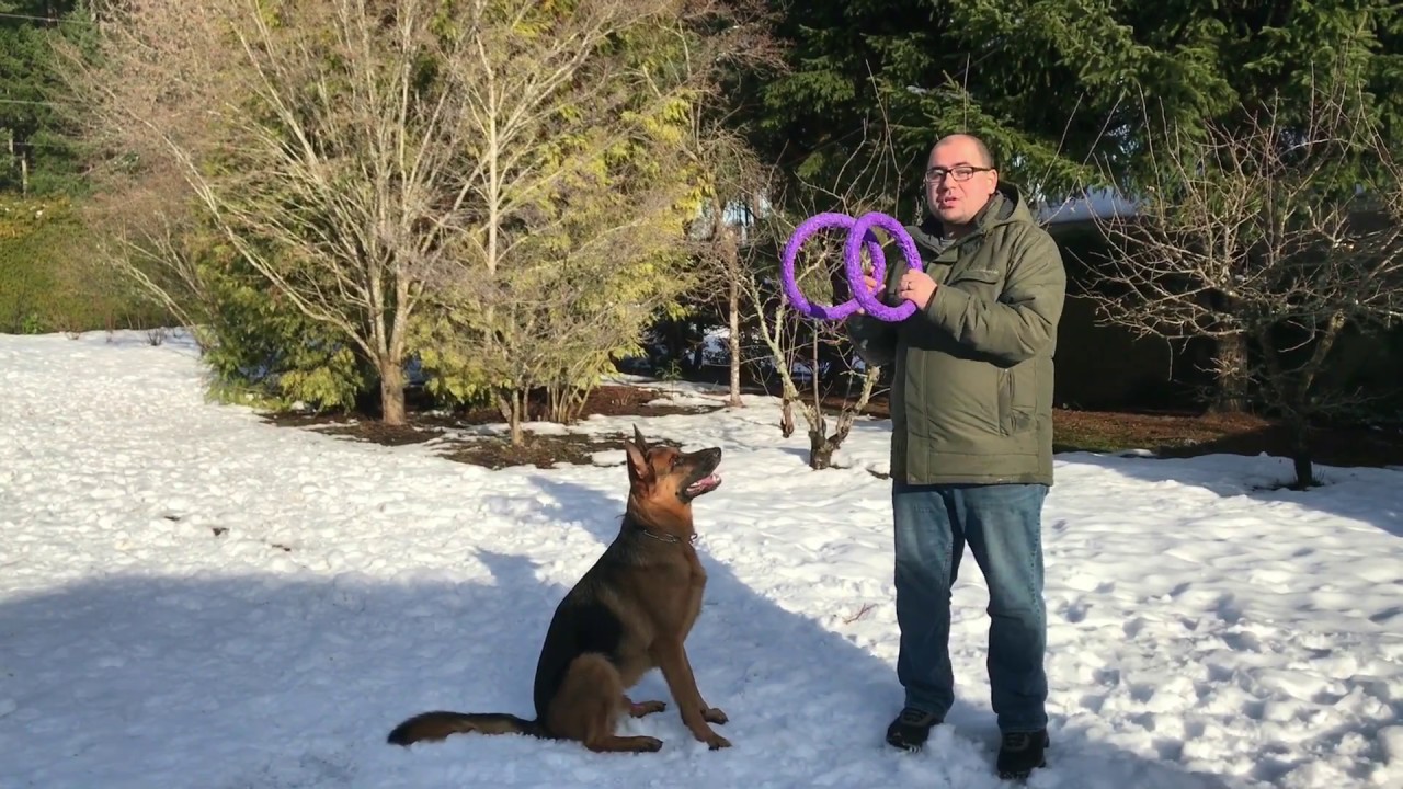Puller Dog Fitness Toy Review