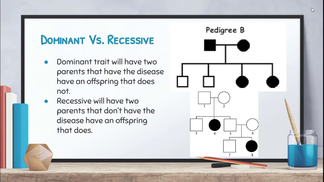 Biology: Biology 7-3: Pedigrees and Inheritance Patterns