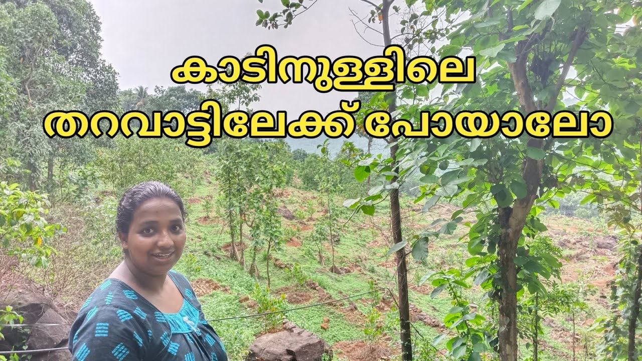കാടിനുള്ളിലെ തറവാട് | Day in my life | Village Lifestyle | Bathery kitchen❤️