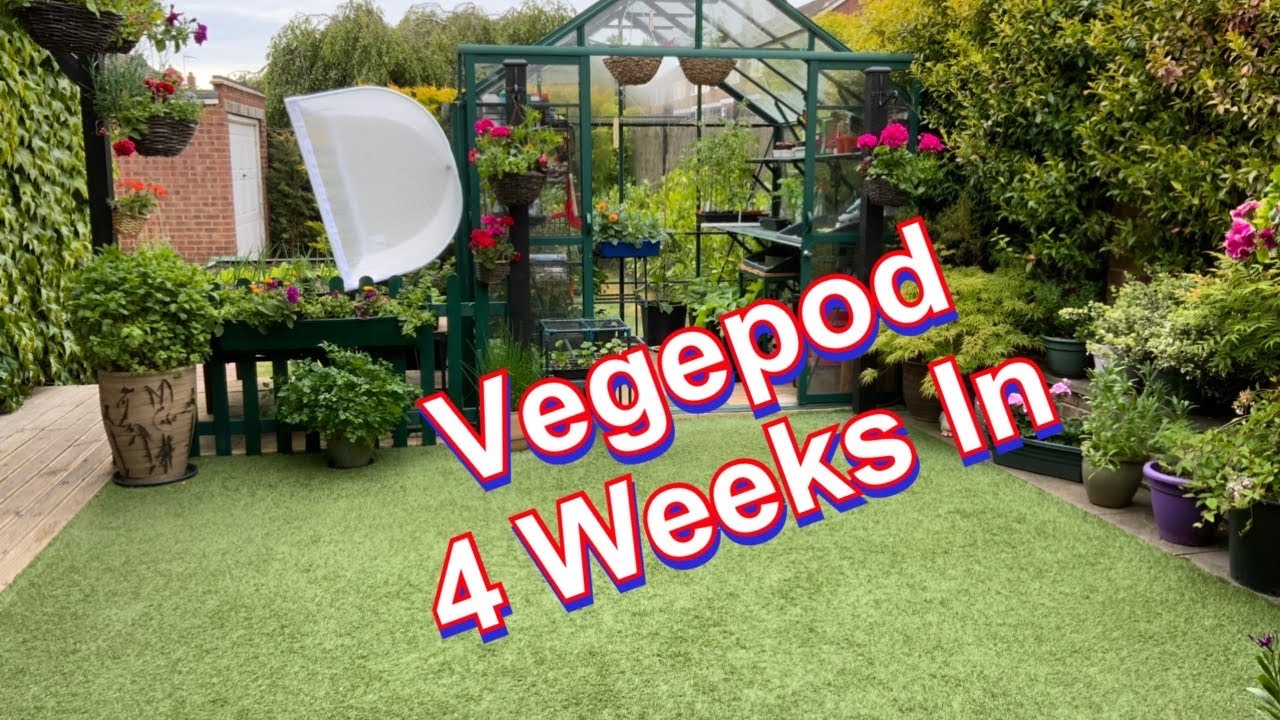 Vegepod After 4 Weeks