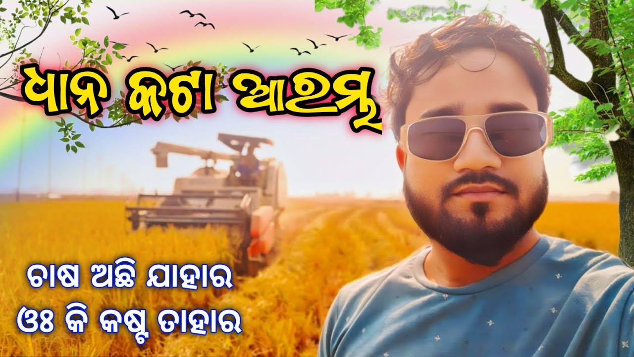 ଚାଷ ଅଛି ଯାହାର କି କଷ୍ଟ ତାହାର 😭 ଧାନ କଟା ଆରମ୍ଭ // Harvester Machine ରେ ଧାନ କଟା // Farmer Vlog ||