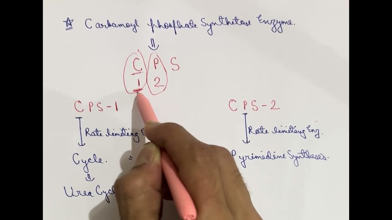 CPS I vs CPS II Made Easy | Carbamoyl phosphate synthetase | NEET PG & INI-CET Rapid Revision 
