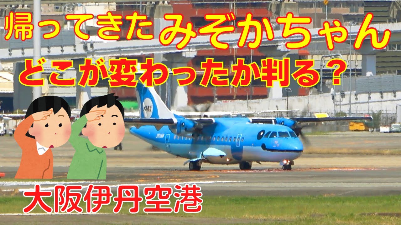 【大阪伊丹空港】今週のみぞかちゃん　2024.4.13　多様な機種でお出迎え⭐