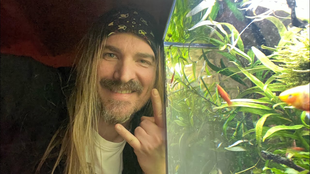 Tom sein Juwel Rio 450 l Becken,Änderung der Strömung🌊🐟🦐😁🤘🏻