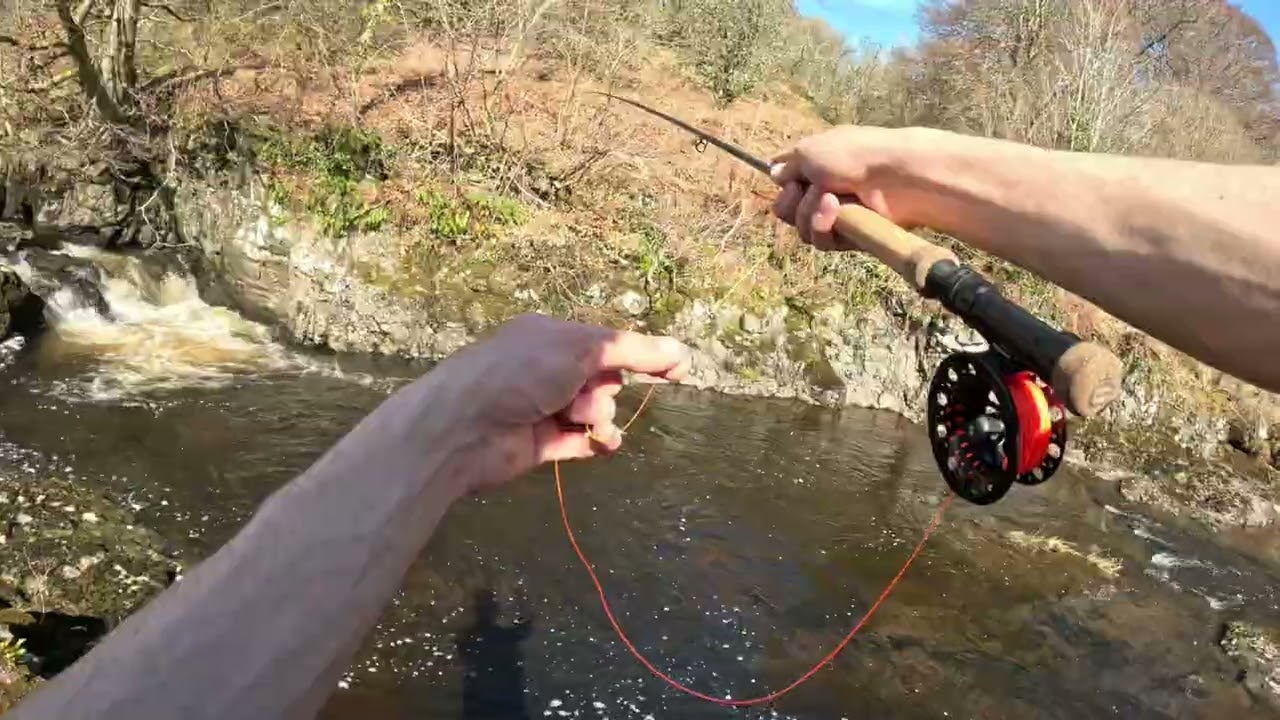 A few hours on the river carron