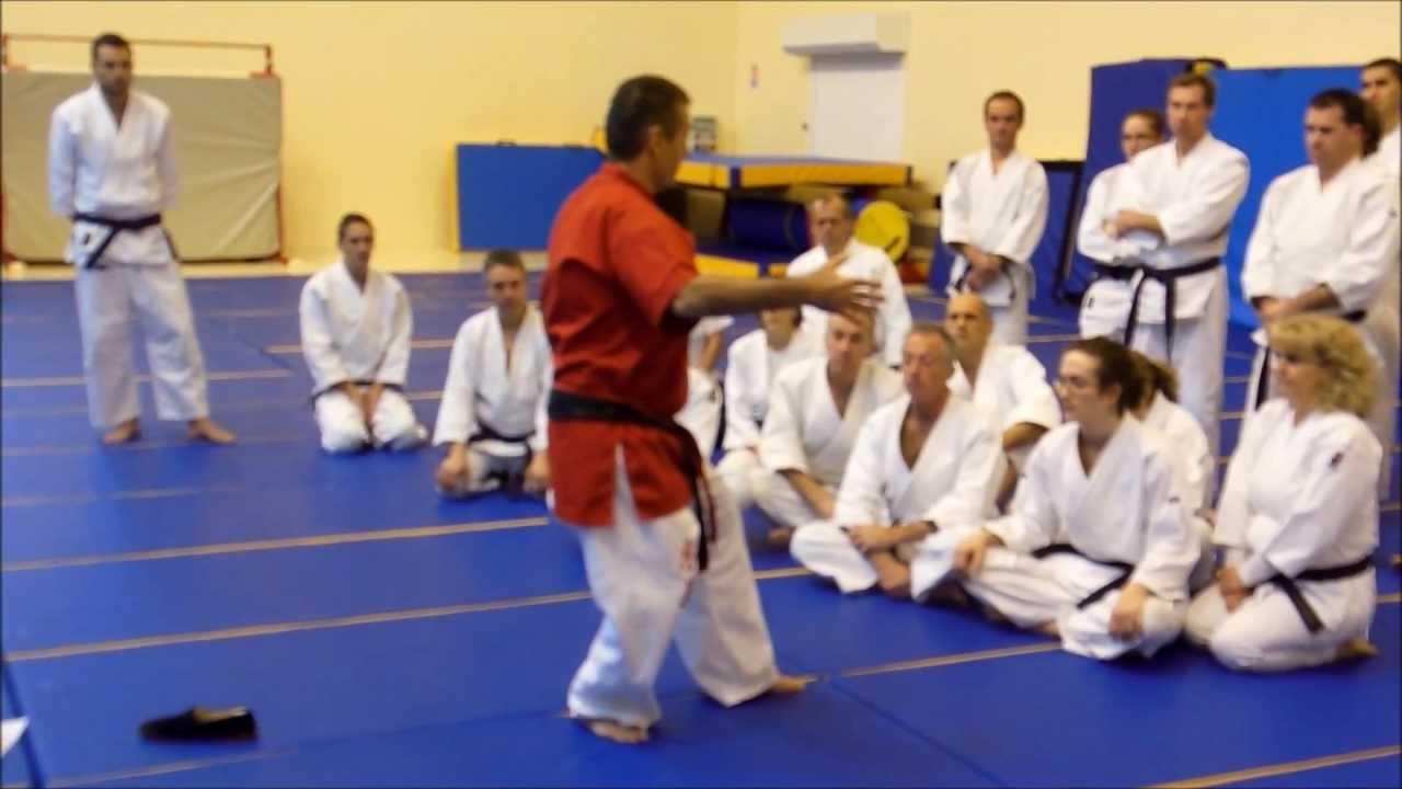 Traditionnal Jiu Jitsu rencontre/meets Yi Quan