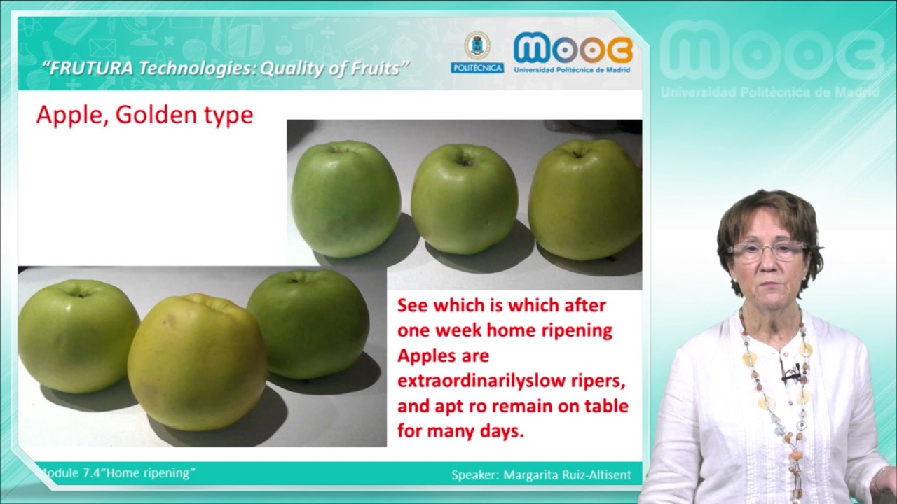 MOOC Frutura Technologies 7.4: Home ripening (II)