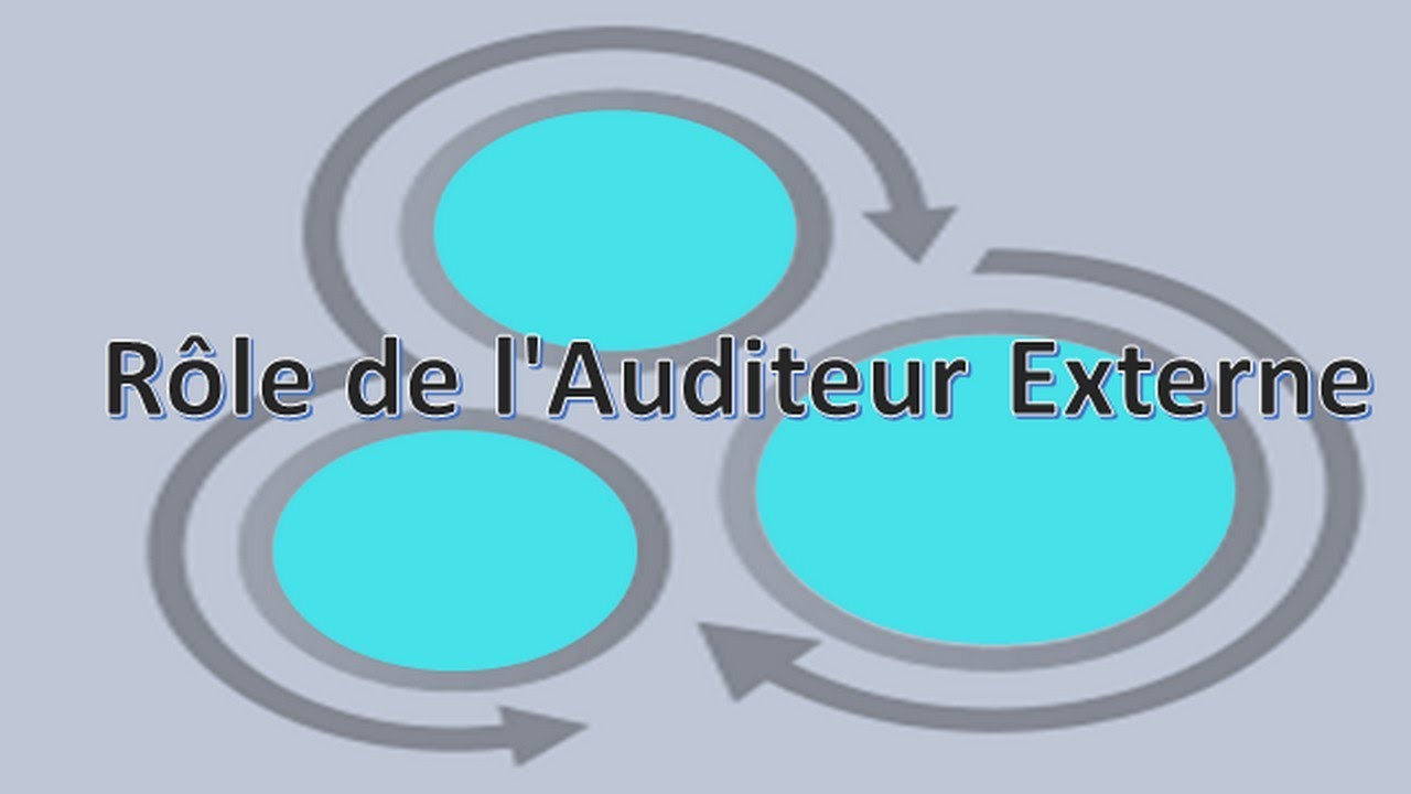 R&ocirc;le de l'Auditeur Externe