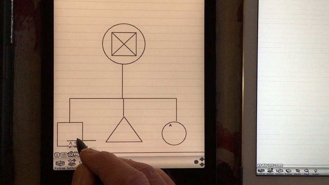Newton Messagepad Real Hardware vs Einstein Emulator on iOS and Android