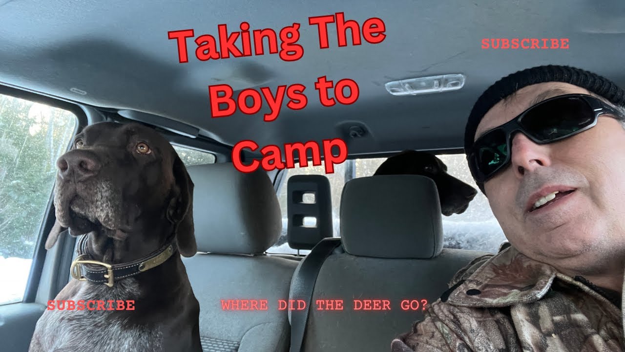 Off-Grid Cabin Renovation-Day Trip with the Boys