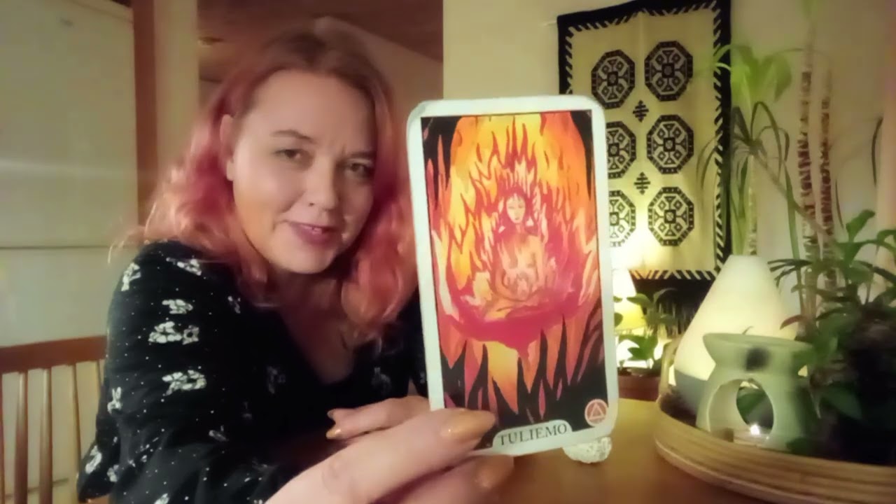 Valintatilanne, valitse pakka 2.2 ❤️ Varjosta valoon Nelly.