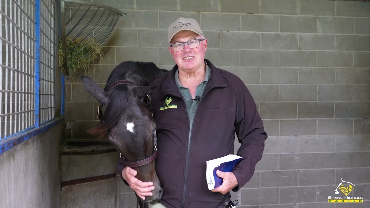 Pinatubo x Shrouded In Mist '24 Filly - Shane Nichols Racing