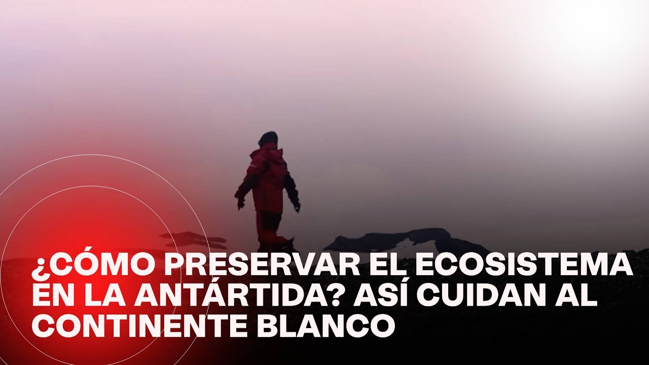 ¿Cómo reutilizan los desechos en la Antártida? Así se cuida al continente blanco