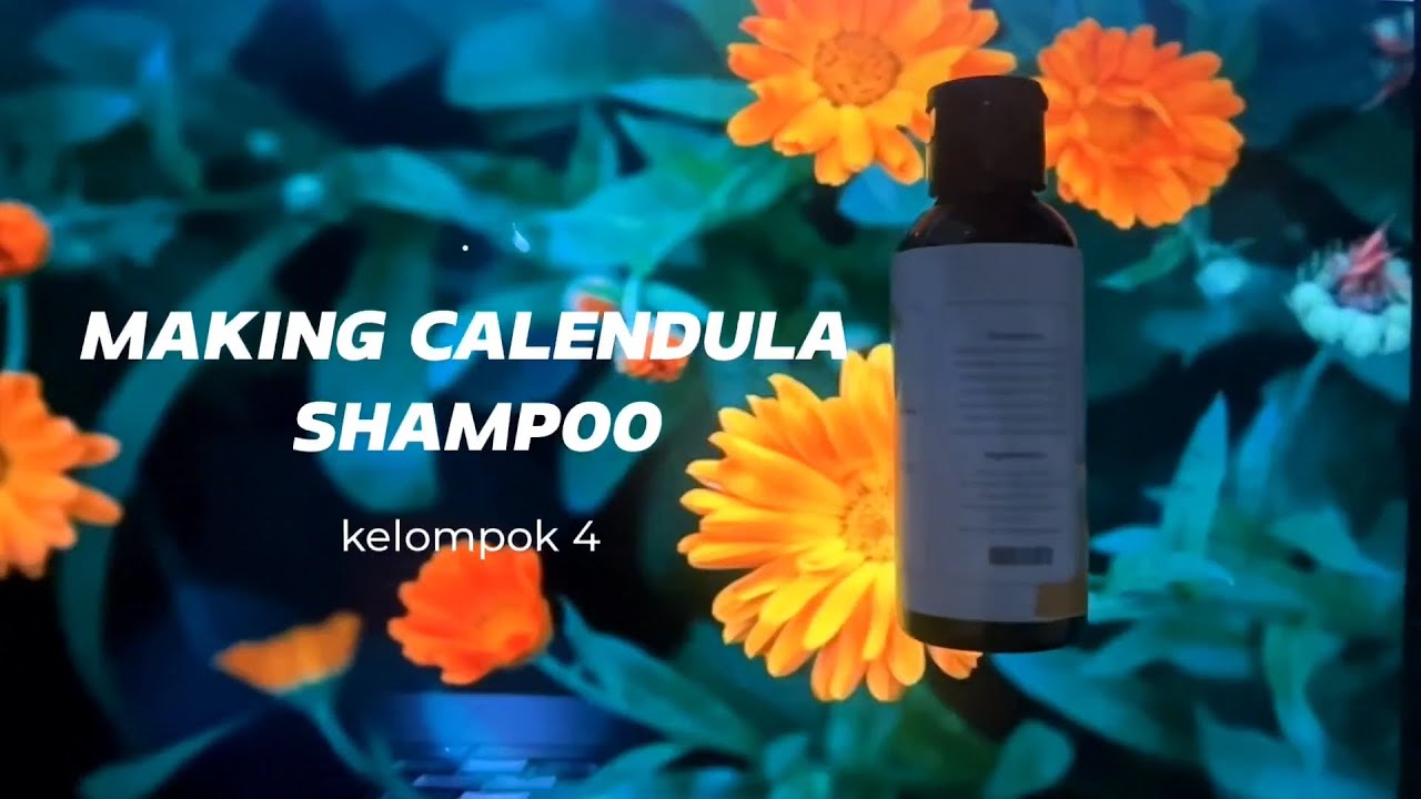 Praktikum FTS OT | Formulasi dan Evaluasi Sampo Ekstrak Bunga Calendula Calendula Officinalis