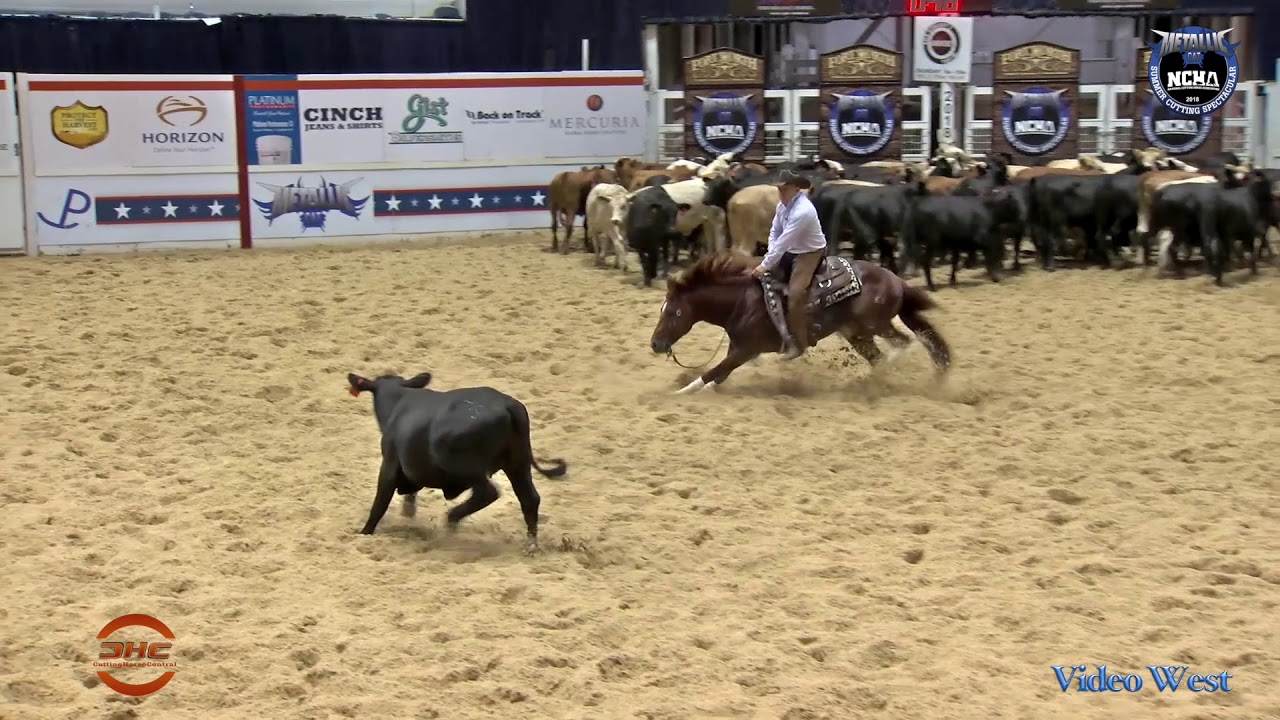 The Animal 2018 NCHA Metallic Cat Summer Spectacular Open Derby Champion