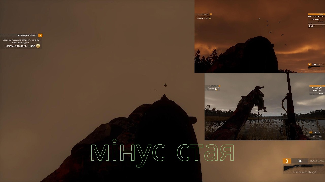 Мінус Стая