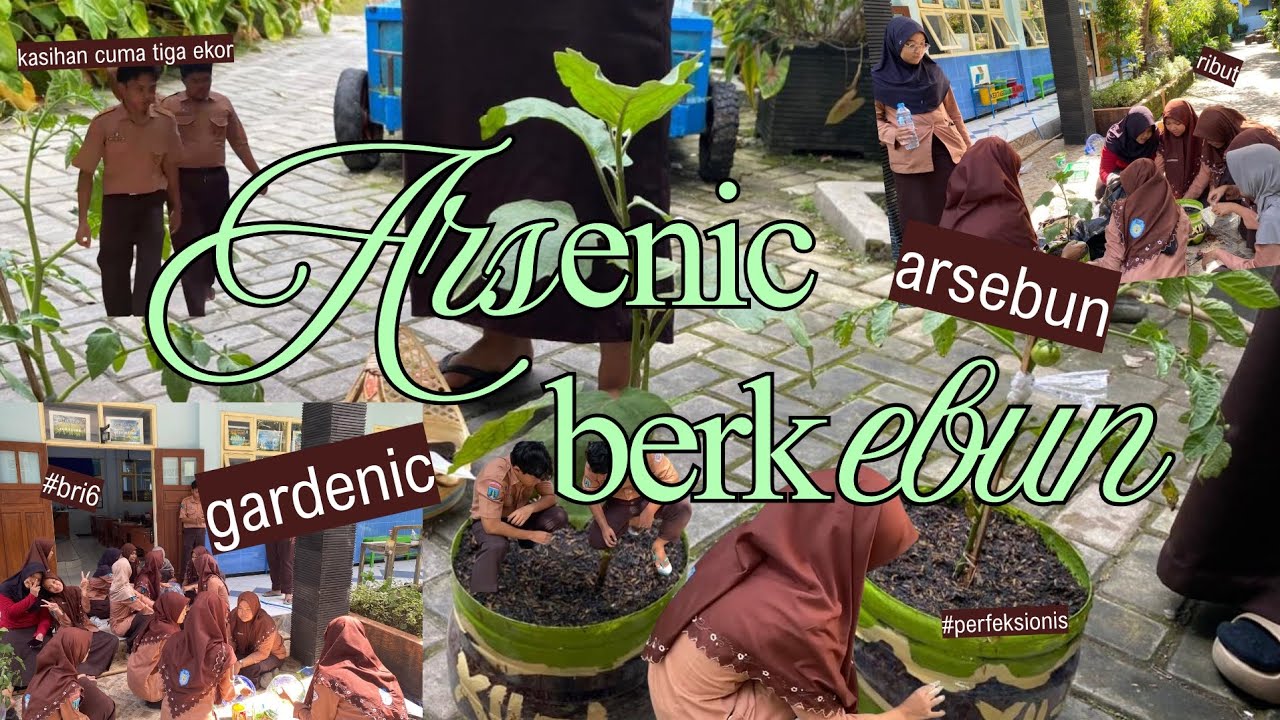 #ARTIVITY ARSEBUN or GARDENIC (intinya menanam) 