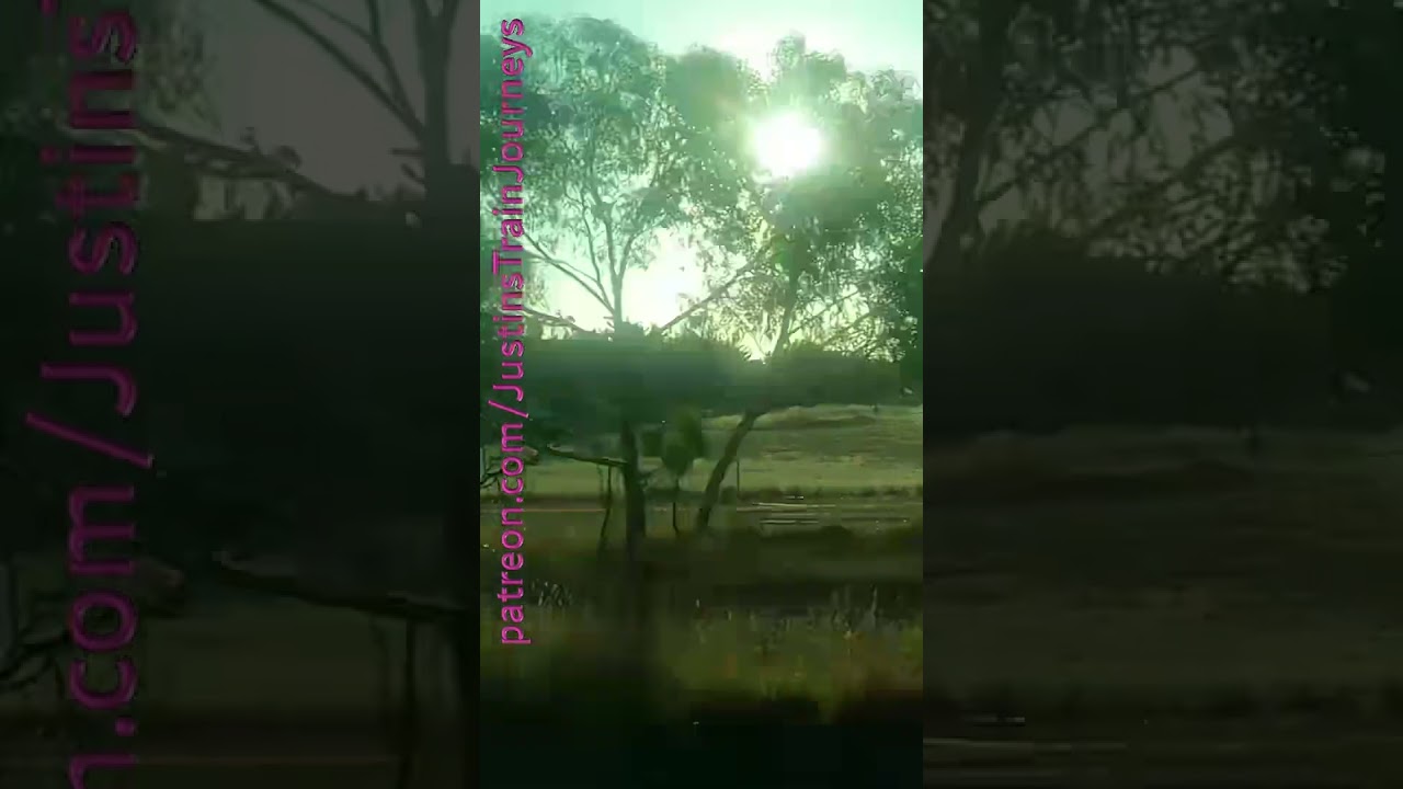 Steamrails Australia Day Return Trip From Rochester 260125 