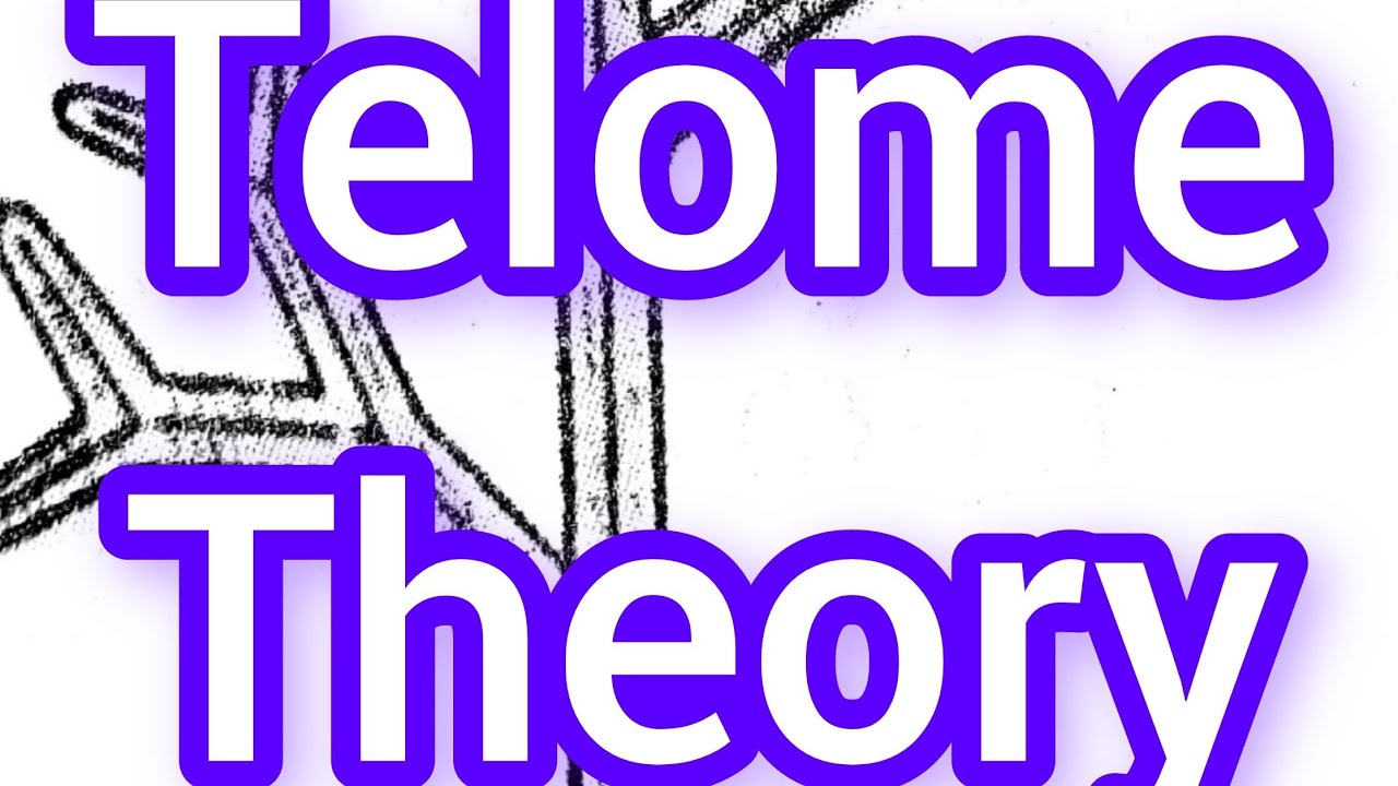 Pteridophyta Lec 2...Telome Theory...with notes ..important short 📝