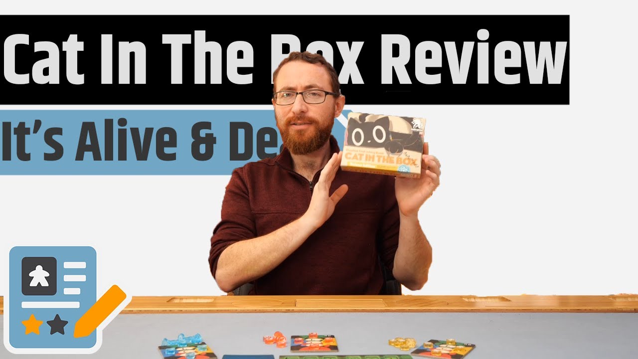 Cat In The Box Review - The Game Is Both Good & Bad Until You Watch This Review