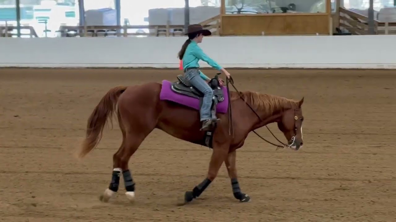 Schooling run with Dino