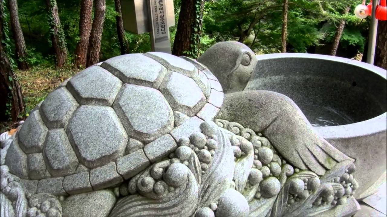 보현행원