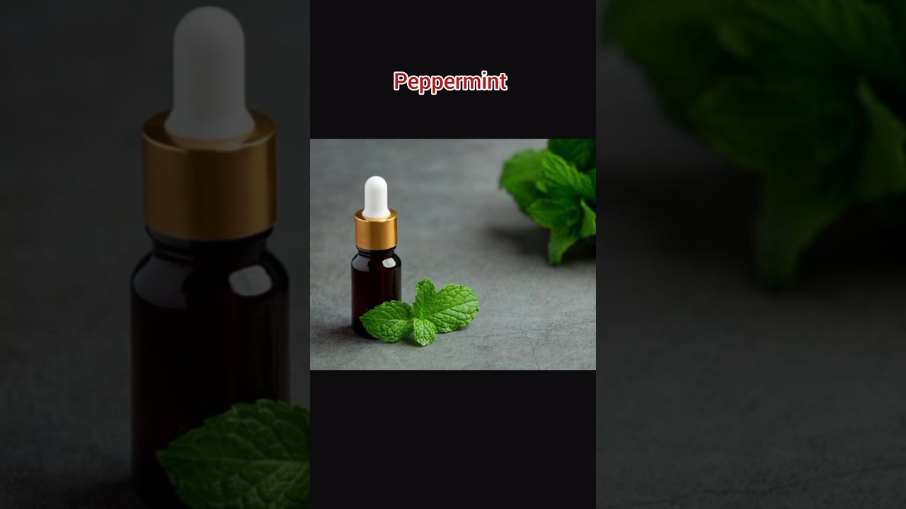 types of Hair Essential Oils 
