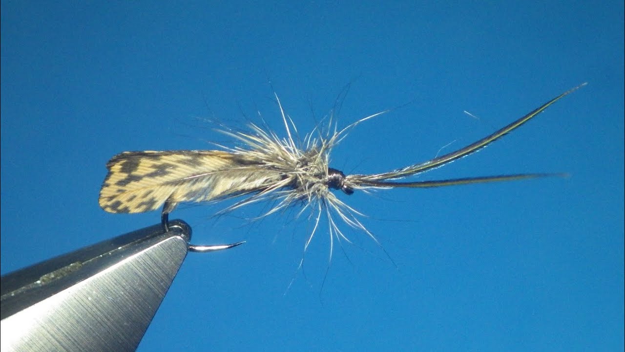 Sedge avec brûleur d'ailes