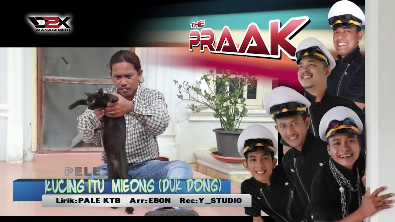 Raja prak #  kucing itu mieong