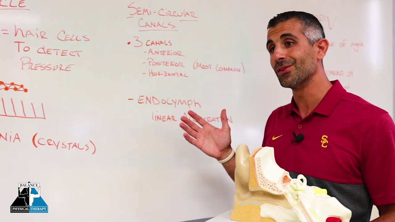 THE VESTIBULAR SYSTEM PART 1 with DR. JOSEPH MELO | Balance Physical Therapy