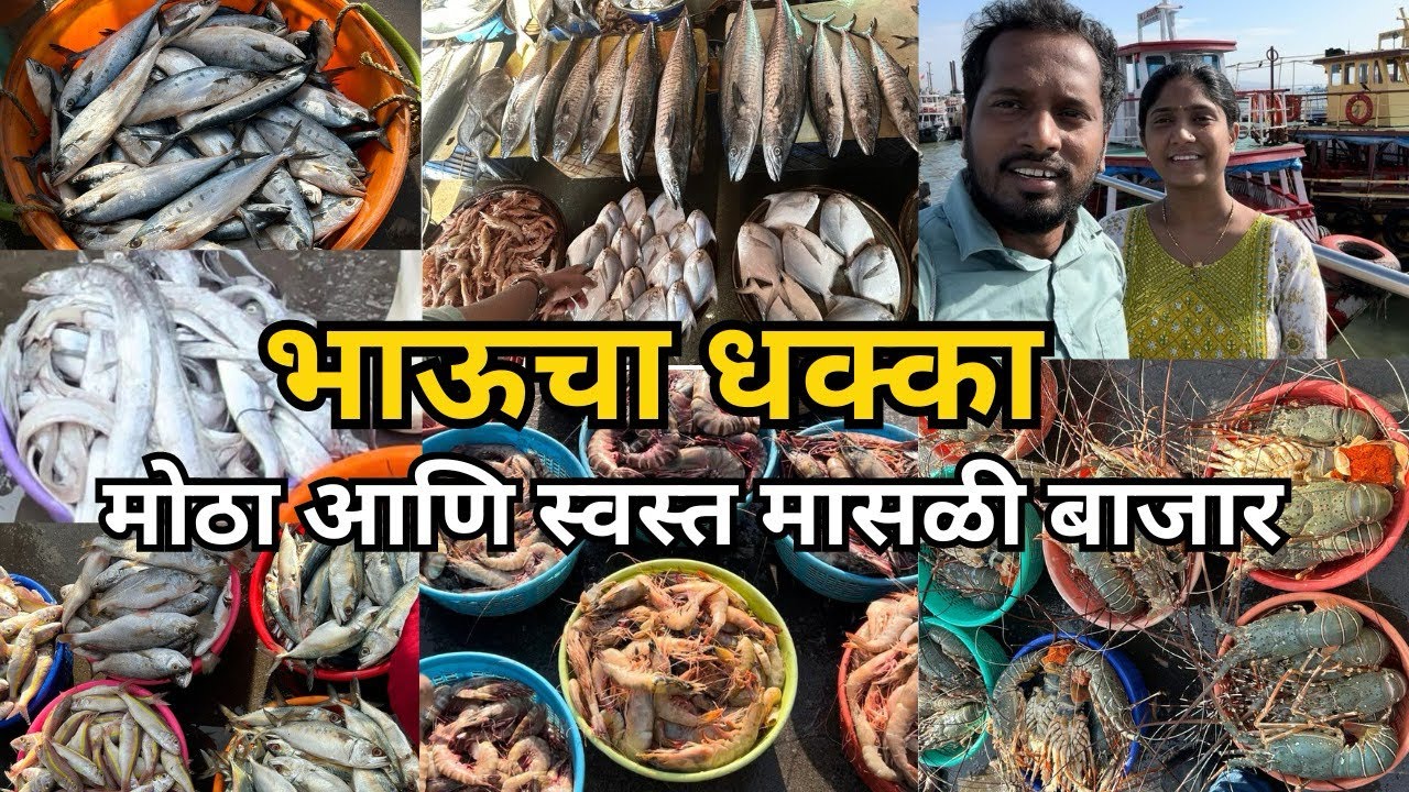Bhaucha Dhakka - होलसेल मच्छी मार्केट - स्वस्त आणि फ्रेश मासे - भाऊचा धक्का - मासे झाले स्वस्त 2025