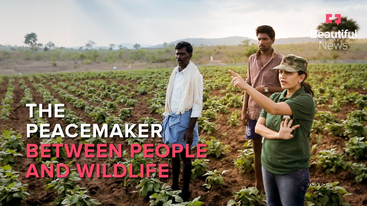 This is how you solve human-wildlife conflict in India | Beautiful News