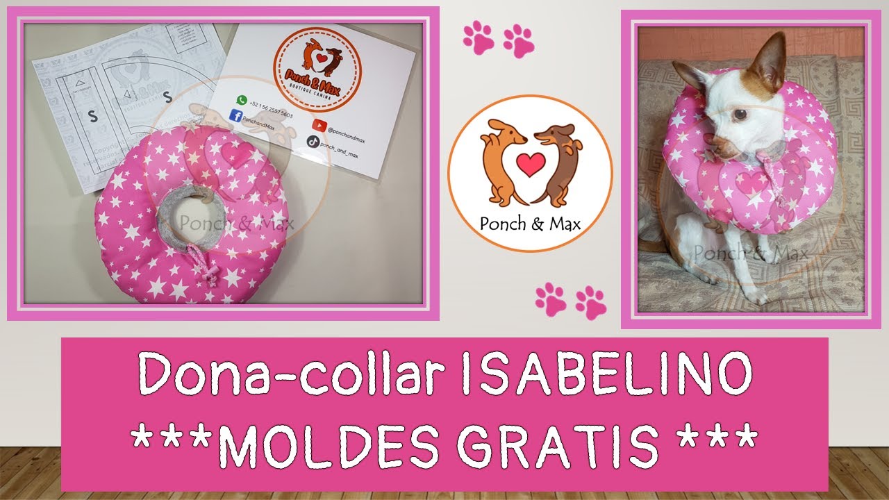 DIY 🐶 Elaboración de dona / collar isabelino para perros y gatos📌 Ropa para mascotas MOLDES GRATIS