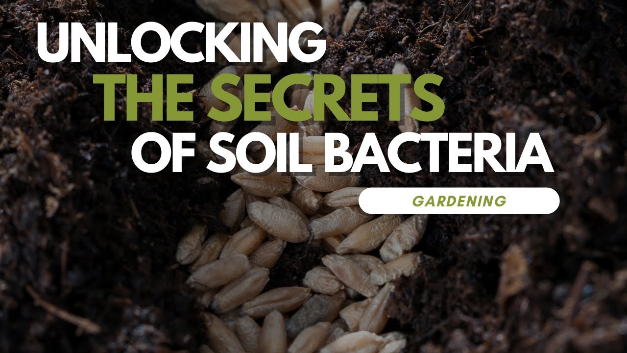 Unlocking the Secrets of Soil Bacteria