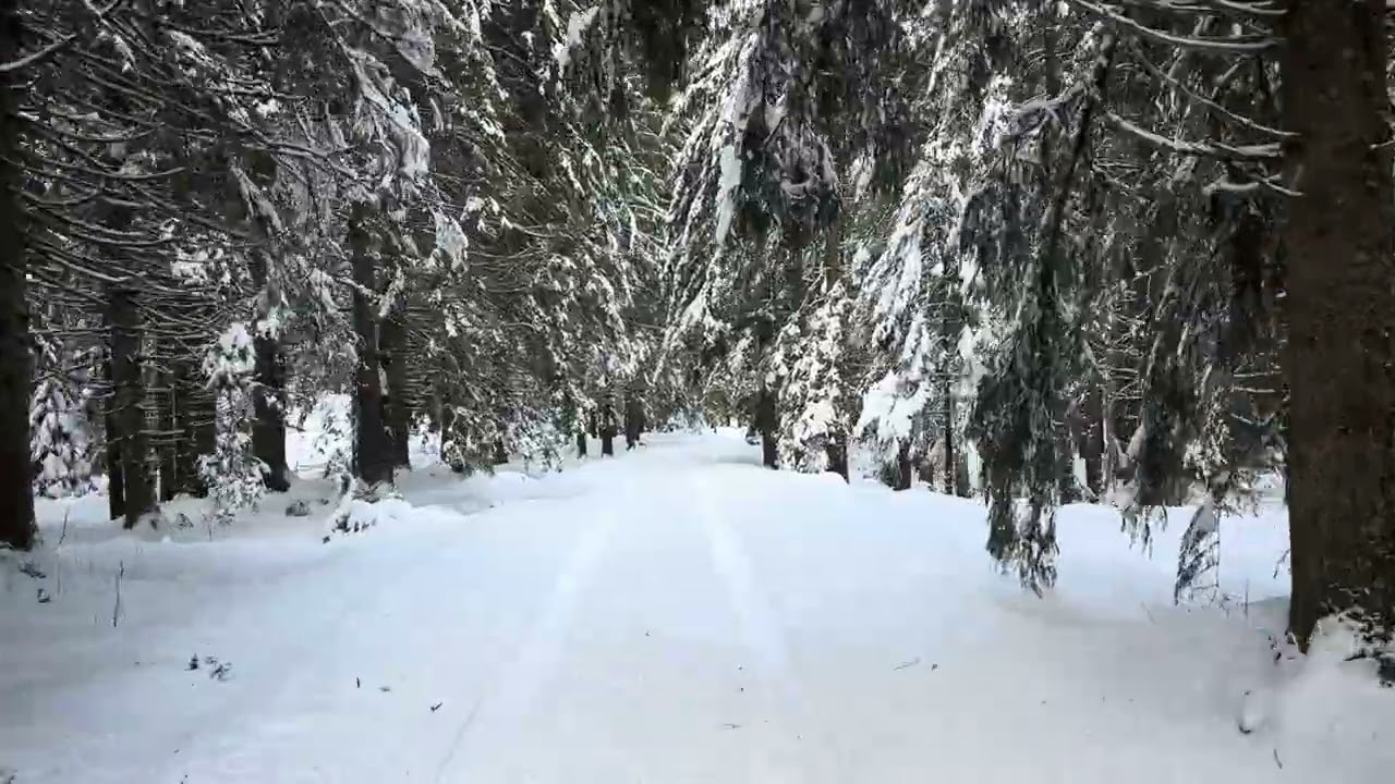 Albești de Muscel