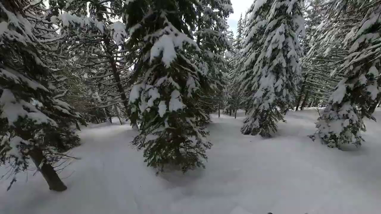 Whitefish, MT - Good Medicine and Head Wall - January 10, 2026