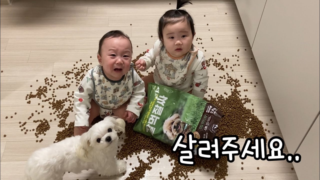 육아는 내가 죽어야 끝난대요.. 행복하자 쌍둥이 ..✨