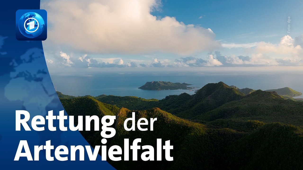 Forschung zu Biodiversit&auml;t: Artensterben so gef&auml;hrlich wie Klimawandel