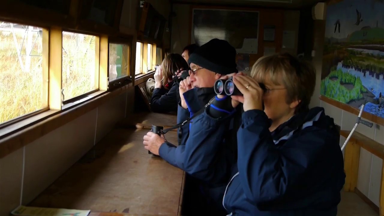 A Year at RSPB Rainham Marshes (in 5 minutes).