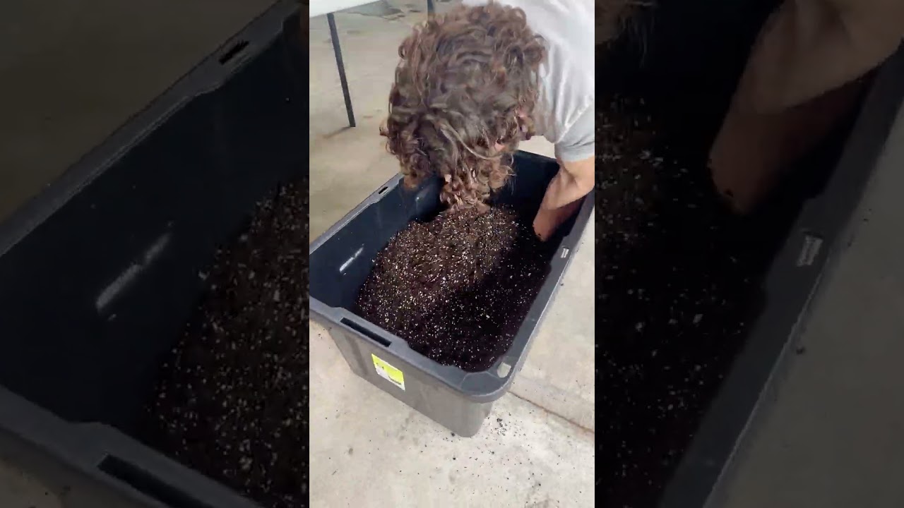 Make Your Own Soil Blocking Mix &ndash; Easy & Effective!
