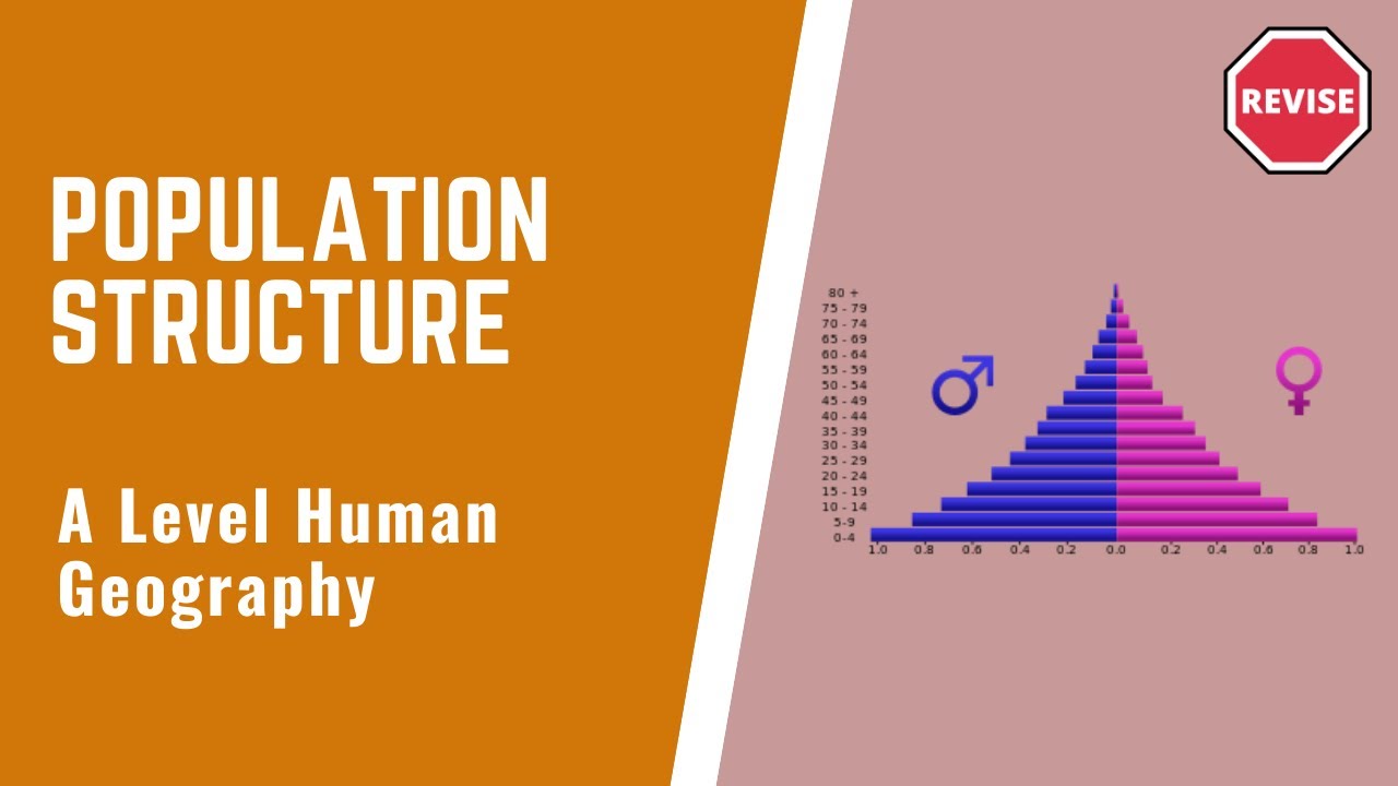 A Level Human Geography - Population Structure