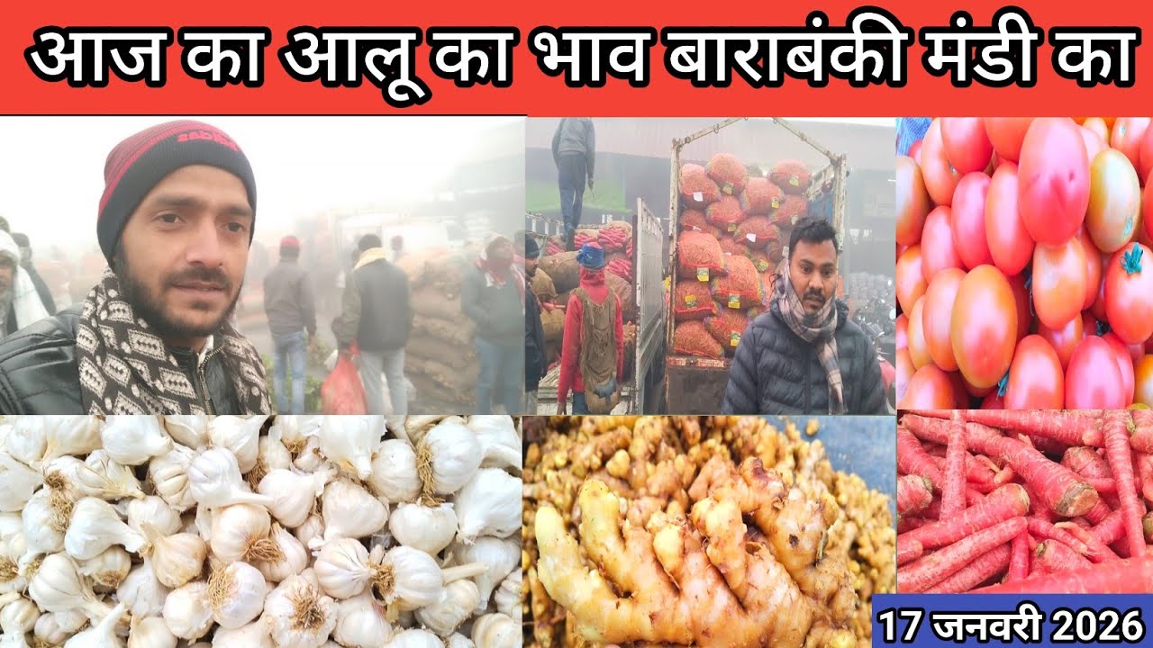 बाराबंकी मंडी में आज सब्जियों में भारी तेजी रही 17 जनवरी 2026 🍅 aaj ka sabjiyon ka bhav 💯 Mandi bhav