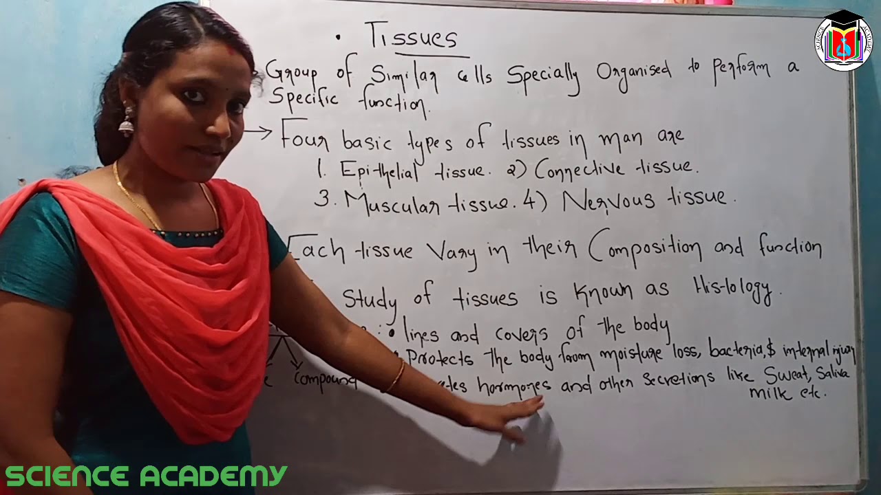 Science Academy | Plus one | Vhse ( MLT ) | Tissues | Vidhya Teacher