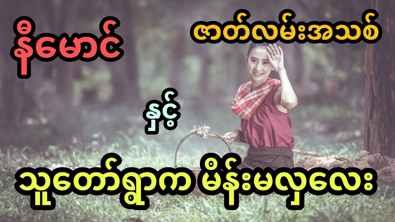 နီမောင် နှင့် သူတော်ရွာက မိန်းမလှလေး (အစအဆုံး)