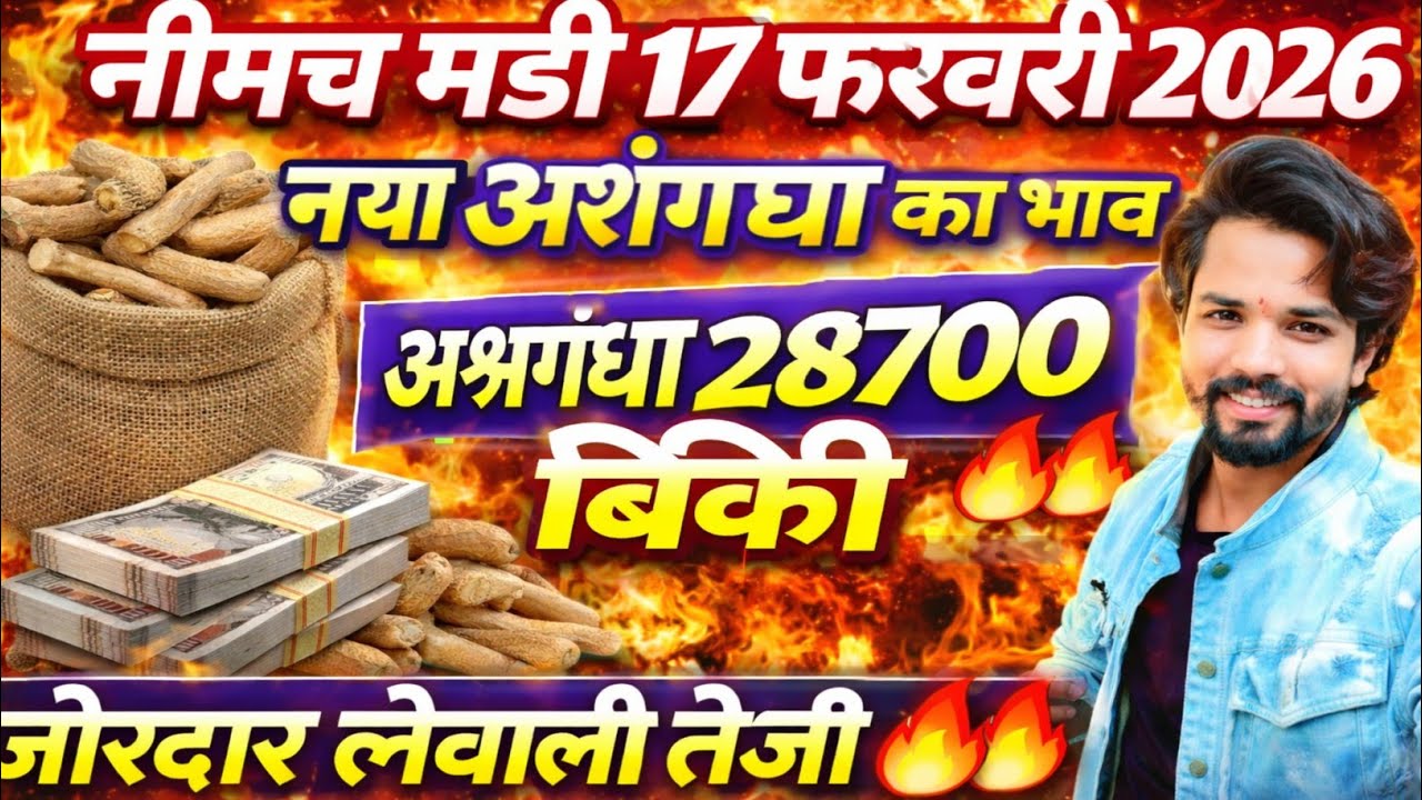 नीमच मंडी भाव। आज का नयी अश्वगंधा जड़ का भाव। Ashwagandha ka bhav neemuch mandi bhav today 