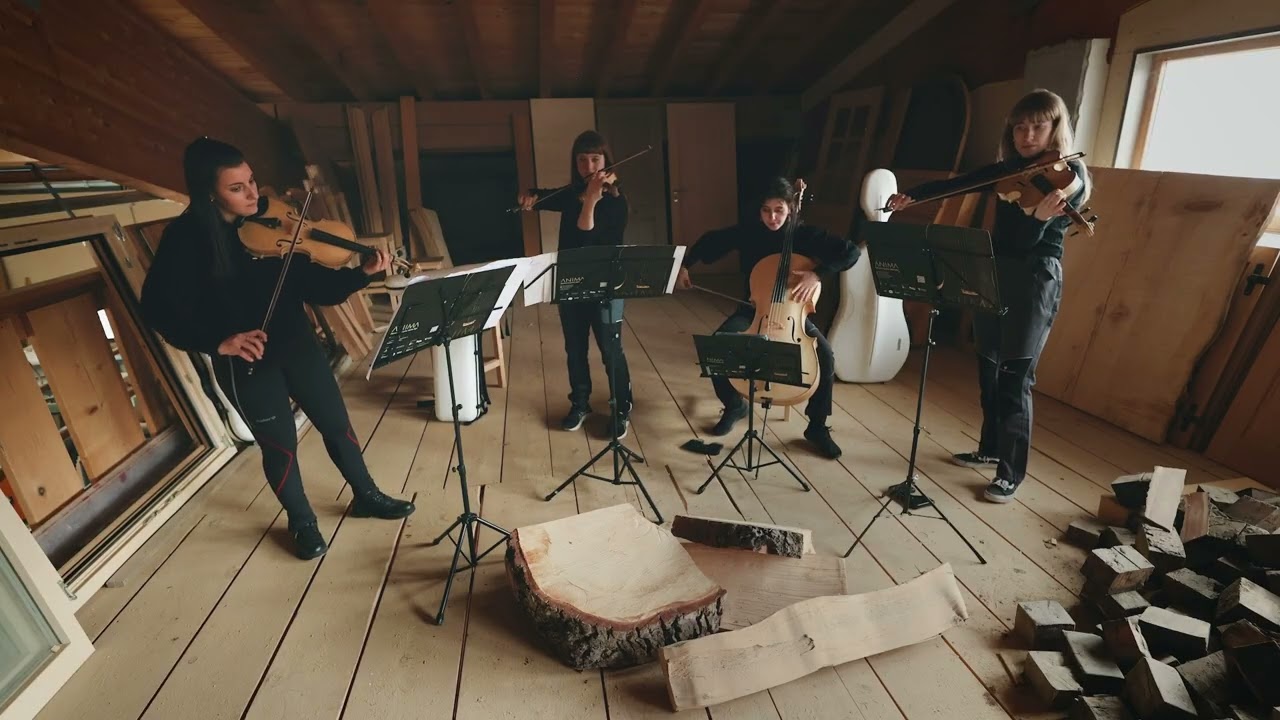 Dentro il suono delle Alpi - ANIMA quartetto | Composer G. Bonato