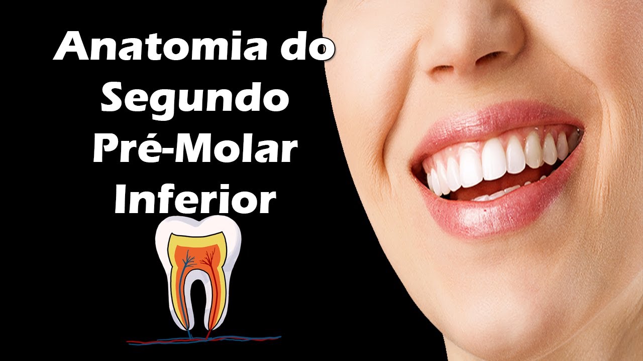 Aula de Anatomia Dental - Segundo Pré-Molar Inferior - Dente 35 e 45