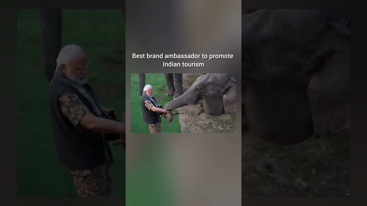 PM Modi takes Elephant Safari on historic visit to Assam's Kaziranga National Park